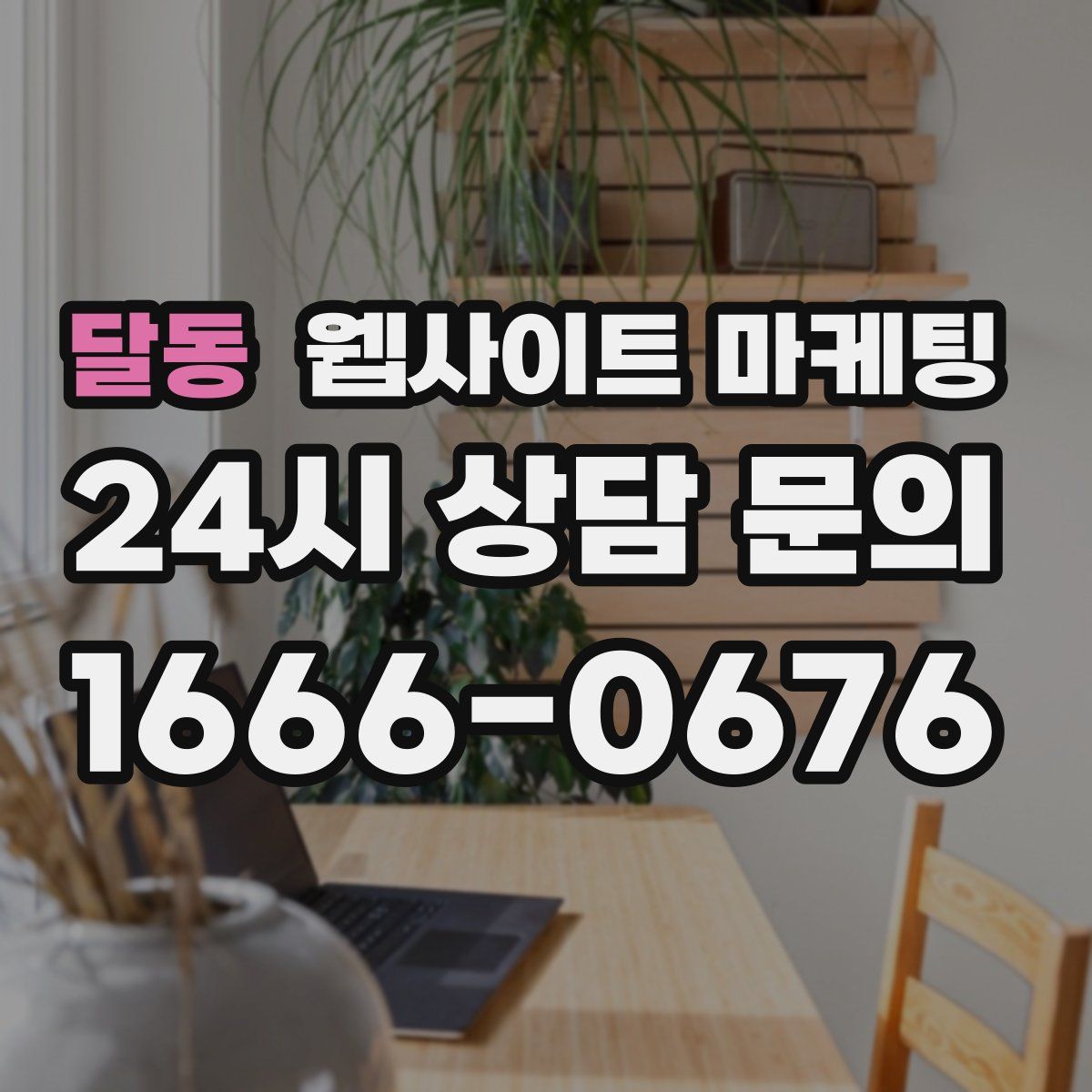 달동 웹사이트 마케팅