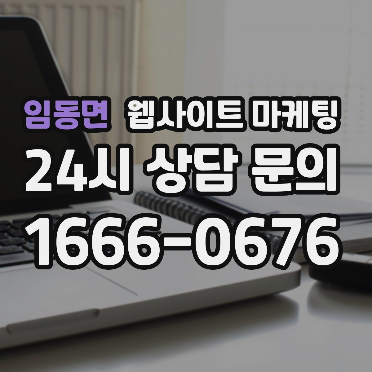 임동면 웹사이트 마케팅