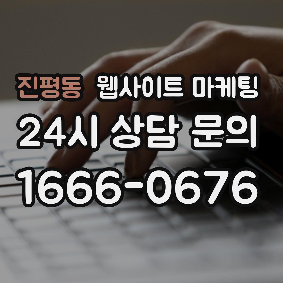 진평동 웹사이트 마케팅