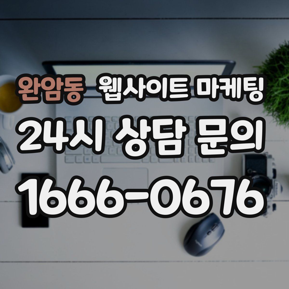 완암동 웹사이트 마케팅