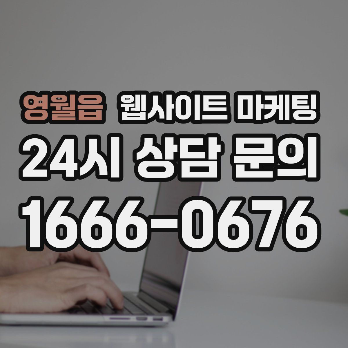 영월읍 웹사이트 마케팅