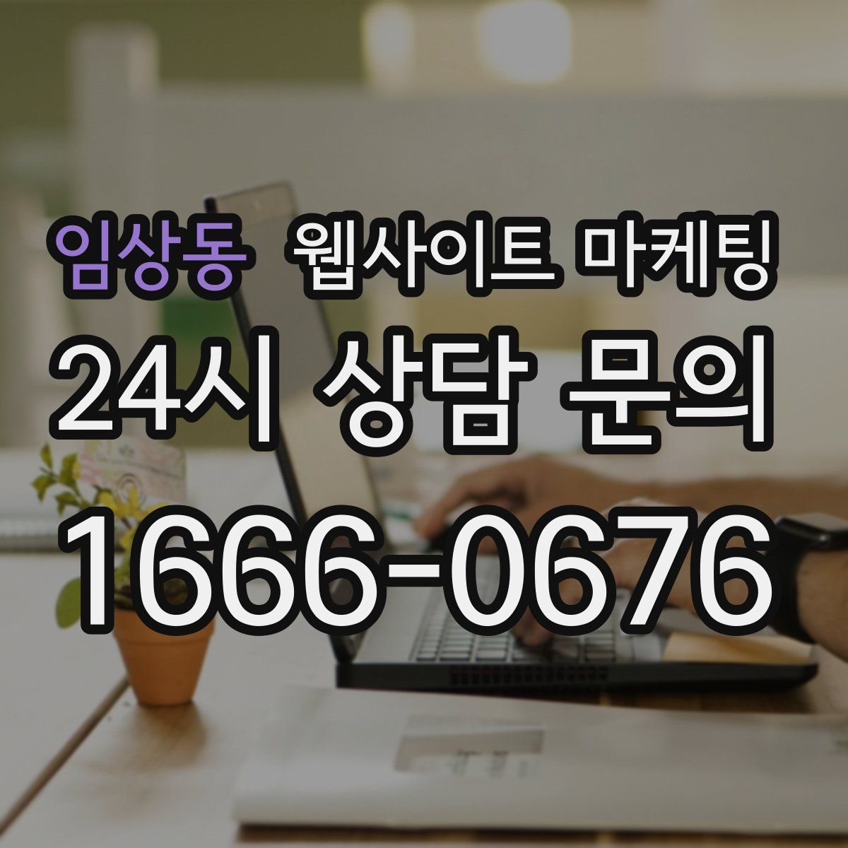 임상동 웹사이트 마케팅