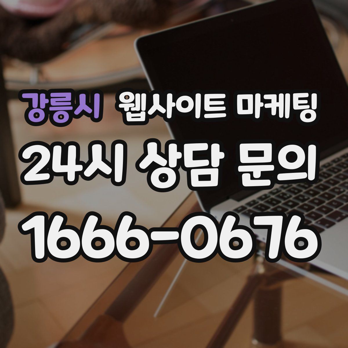 강릉시 웹사이트 마케팅