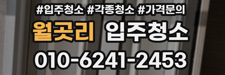 월곳리 이사청소