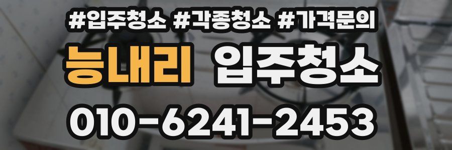 능내리 이사청소