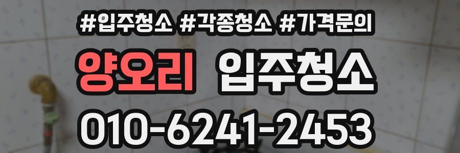 양오리 이사청소