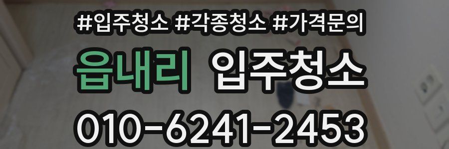 읍내리 이사청소