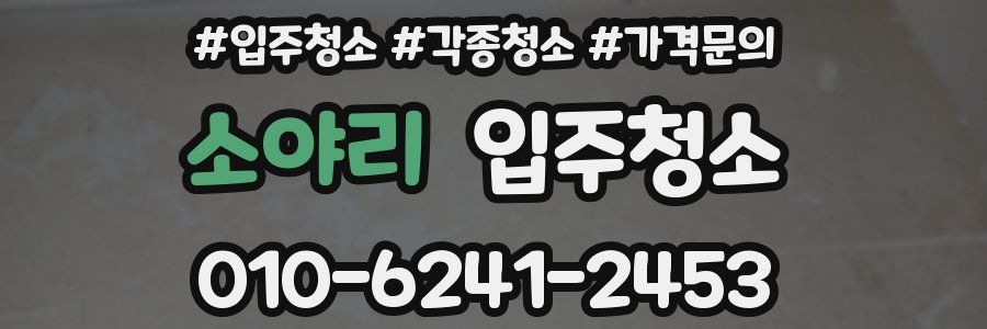 소야리 이사청소