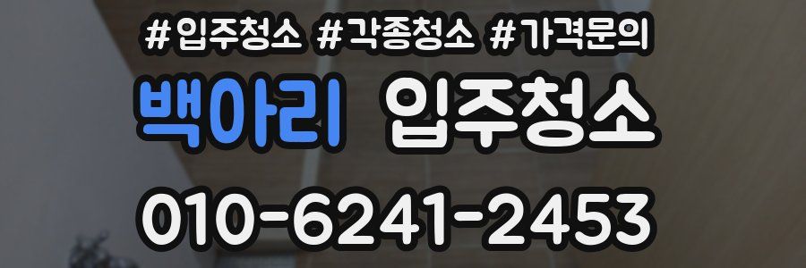 백아리 이사청소