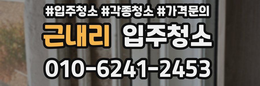 근내리 이사청소