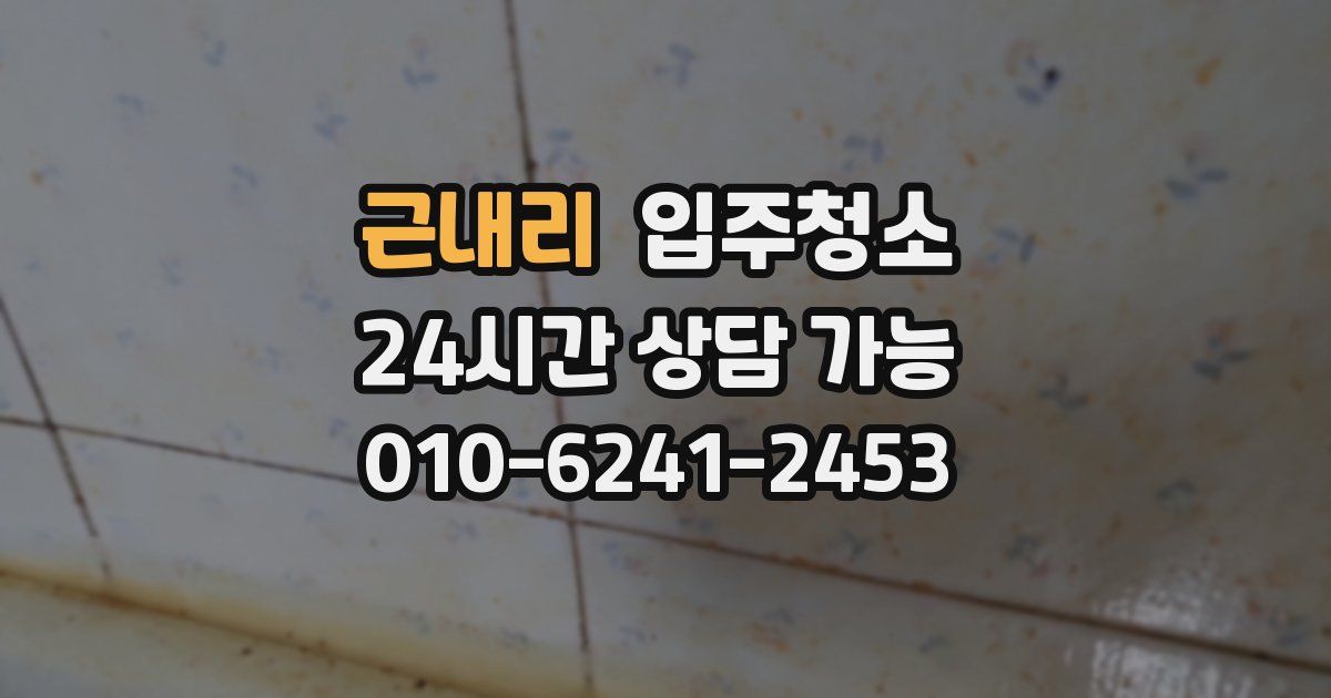 근내리 입주청소