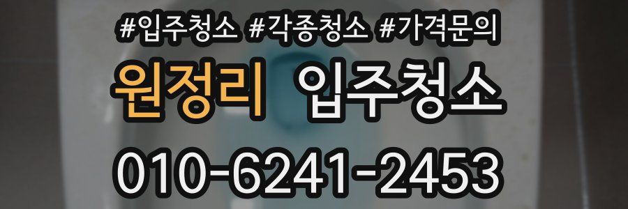 원정리 이사청소