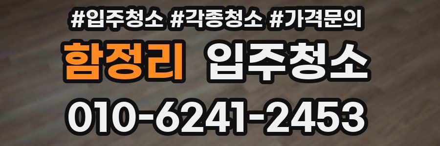 함정리 이사청소