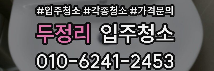 두정리 이사청소