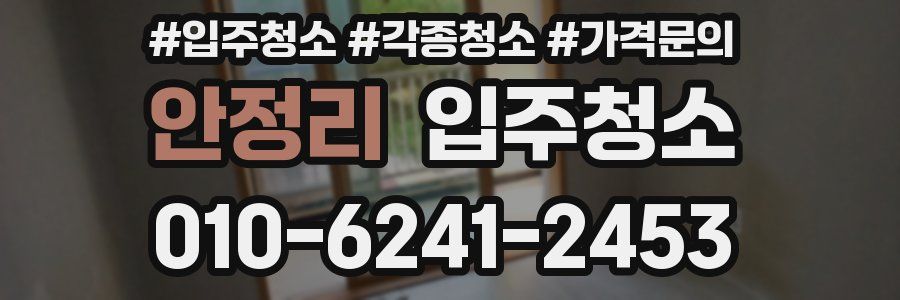 안정리 이사청소