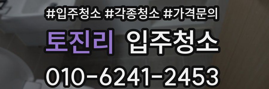 토진리 이사청소