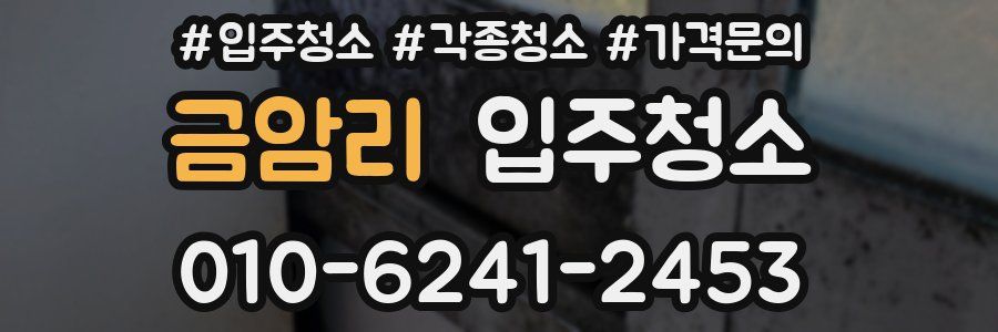 금암리 이사청소