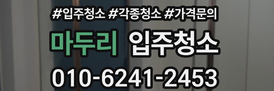 마두리 이사청소