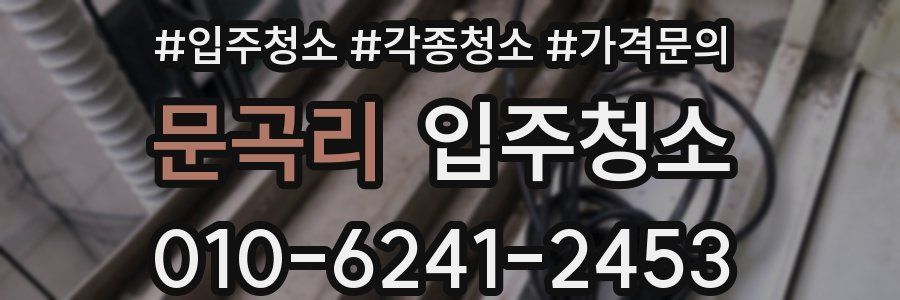 문곡리 이사청소