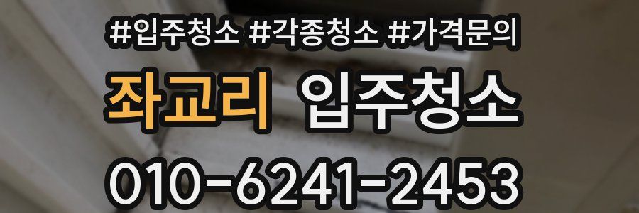 좌교리 이사청소