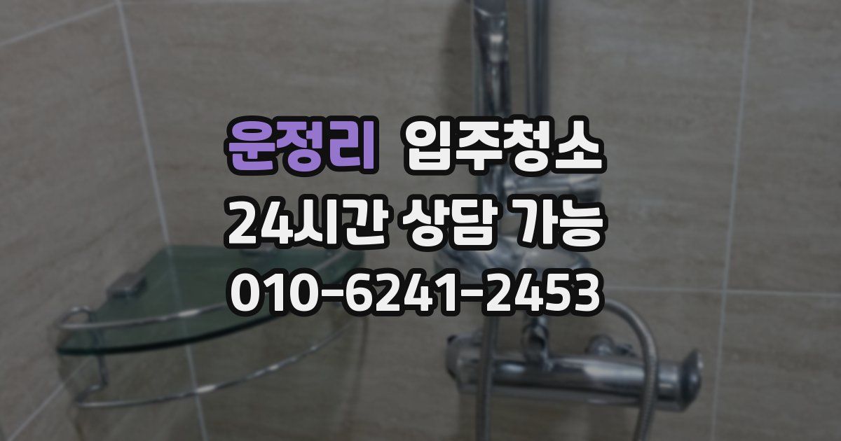 운정리 입주청소