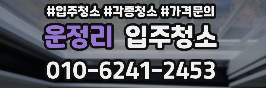 운정리 이사청소