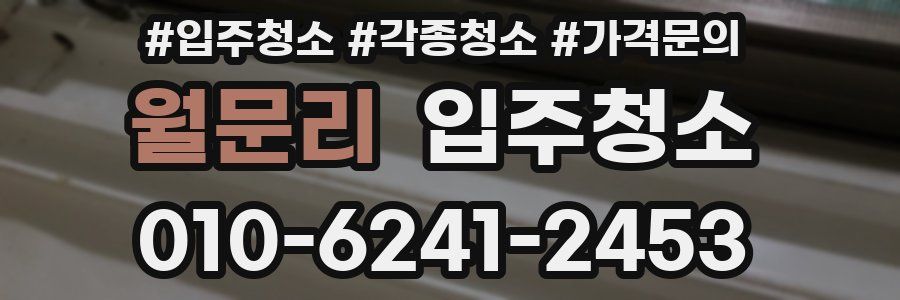 월문리 이사청소