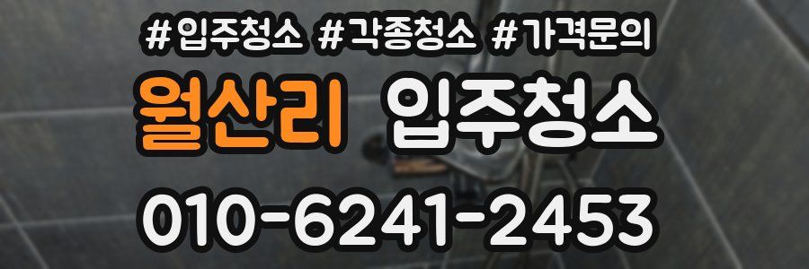 월산리 이사청소
