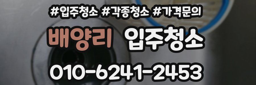 배양리 이사청소