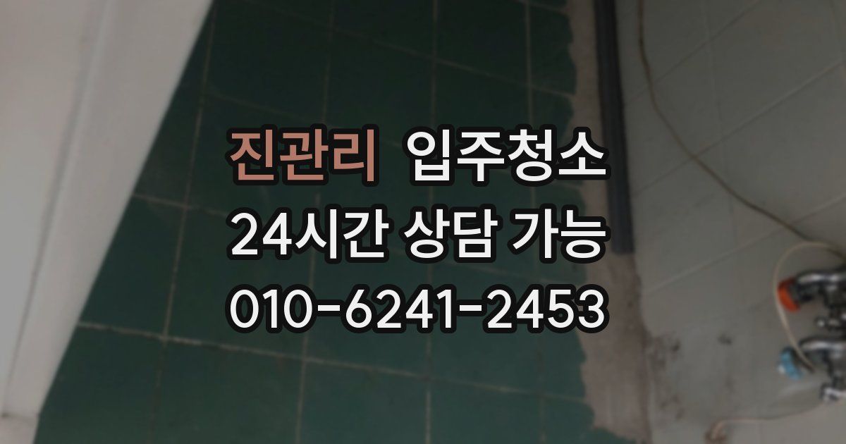 진관리 입주청소