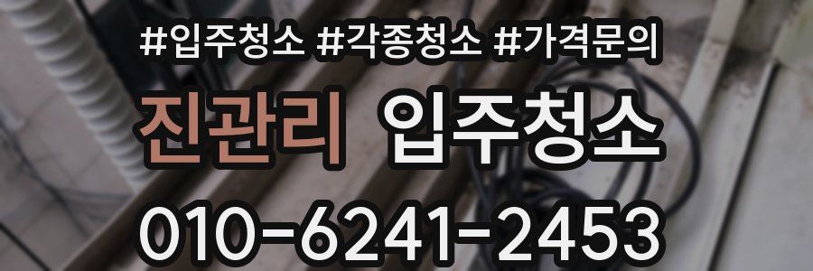 진관리 이사청소