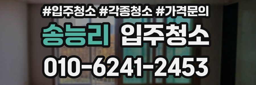 송능리 이사청소