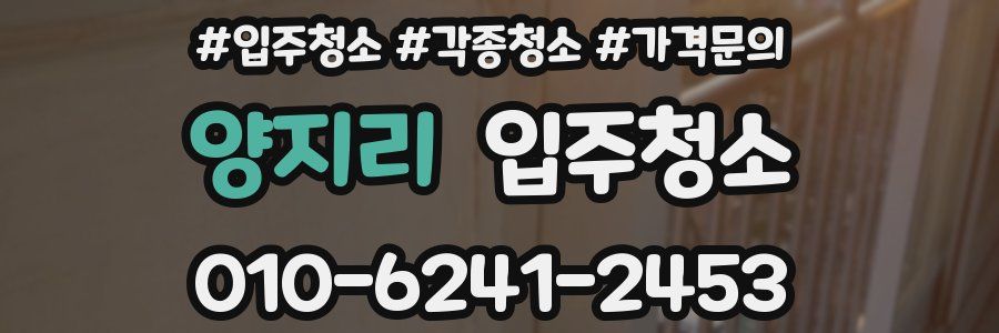 양지리 이사청소