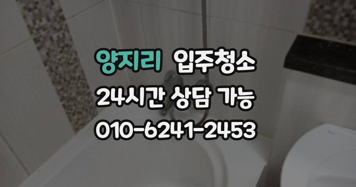 양지리 입주청소