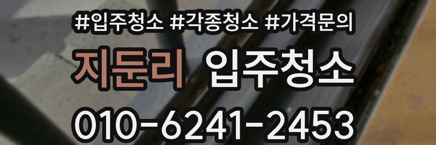 지둔리 이사청소