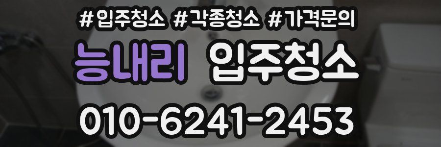 능내리 이사청소