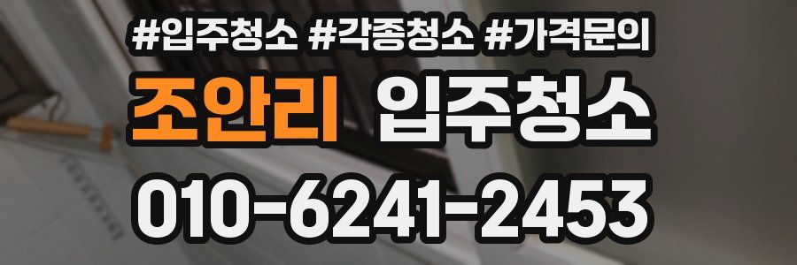 조안리 이사청소