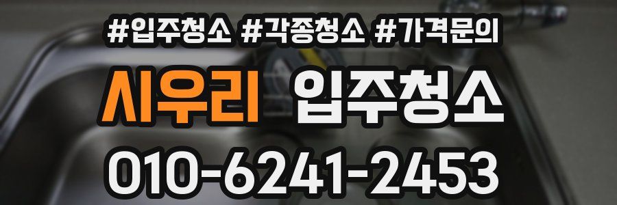 시우리 이사청소