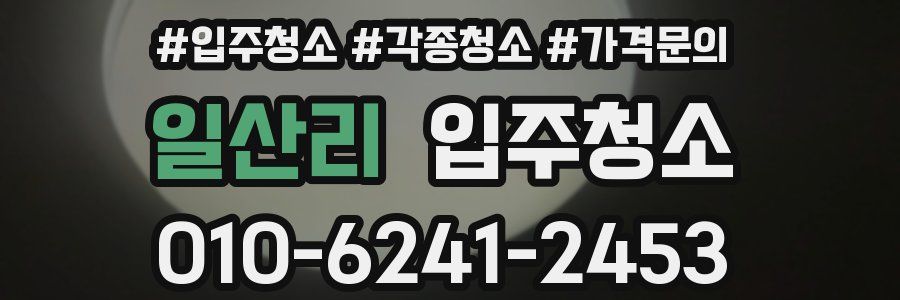 일산리 이사청소