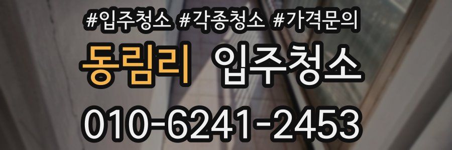 동림리 이사청소