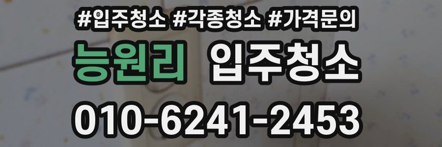 능원리 이사청소