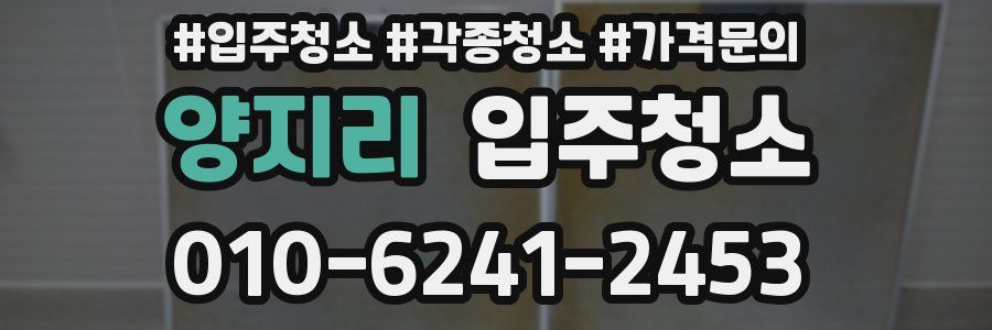 양지리 이사청소