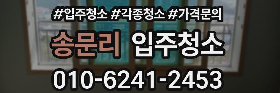 송문리 이사청소