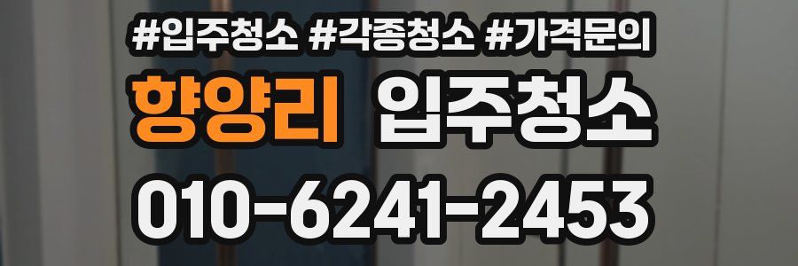 향양리 이사청소