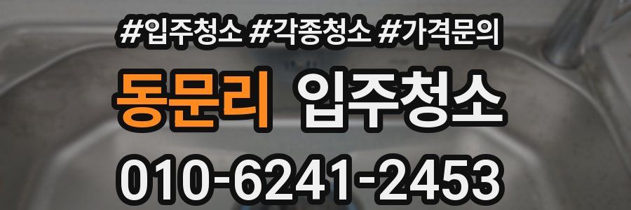 동문리 이사청소