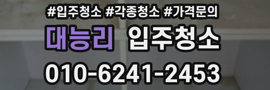 대능리 이사청소