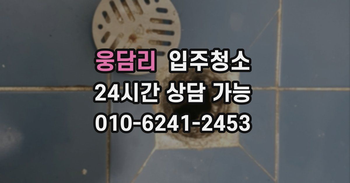 웅담리 입주청소