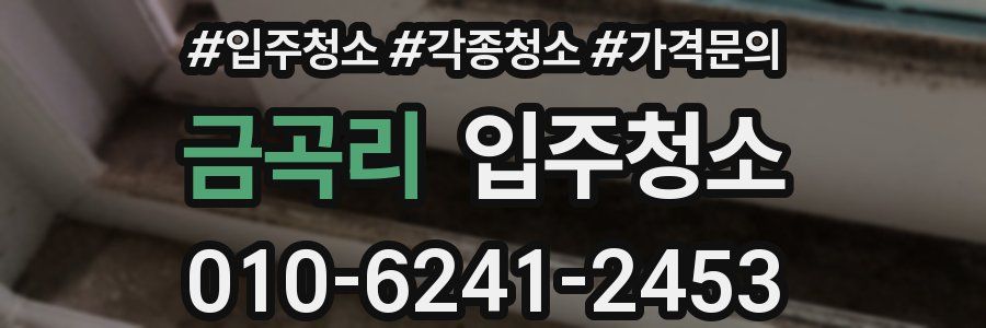 금곡리 이사청소