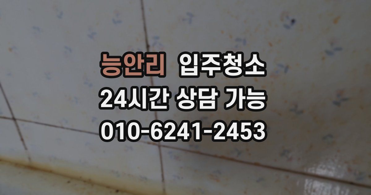 능안리 입주청소