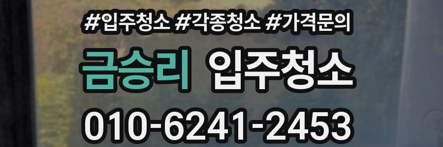 금승리 이사청소